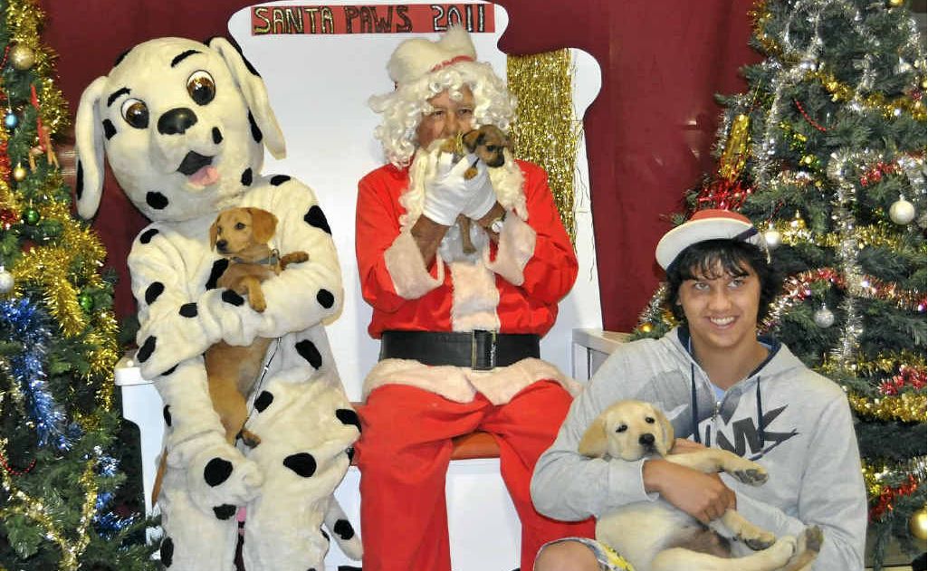 Canines Suki (left), Xena (middle) and Rupert (right), with his owner Aidan, have their photo taken with Santa and Daily Dalmatian. Canines Suki (left), Xena (middle) and Rupert (right), with his owner Aidan, have their photo taken with Santa and Daily Dalmatian.